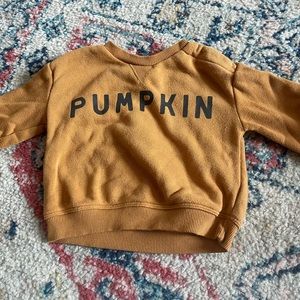Little co pumpkin sweatshirt